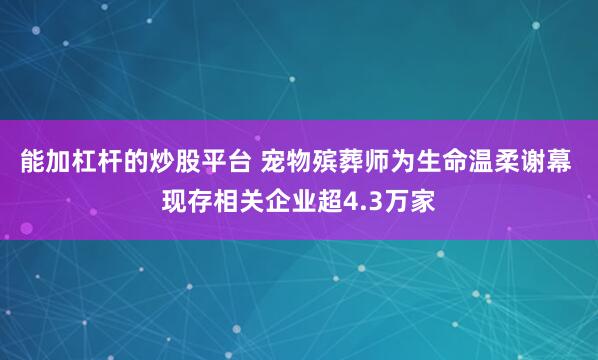 能加杠杆的炒股平台 宠物殡葬师为生命温柔谢幕 现存相关企业超4.3万家